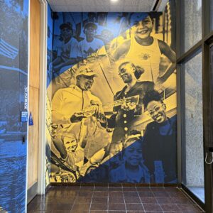 WALL 12
